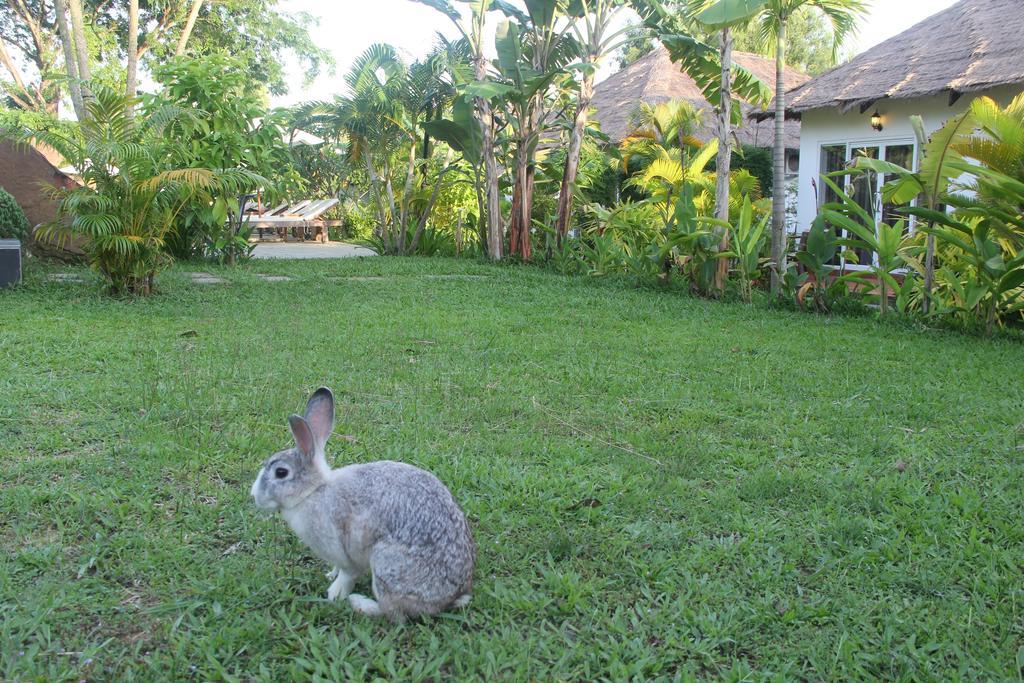 Blue Sea Boutique Hotel Sihanoukville Eksteriør bilde