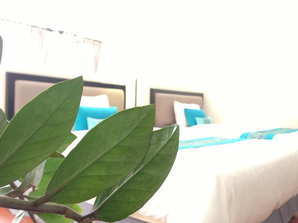 Blue Sea Boutique Hotel Sihanoukville Rom bilde